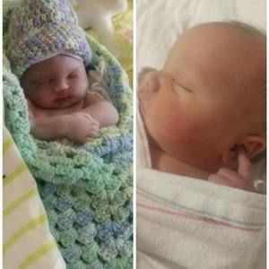 Meet your Posher, Debbie